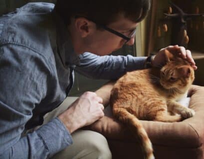 Vétérinaire à domicile regardant un chat