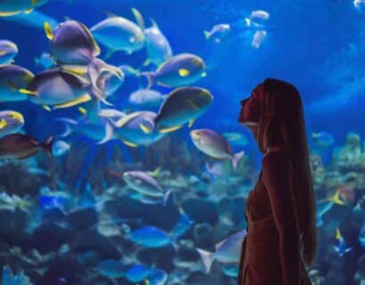 Jeune fille émerveillée devant un aquarium réaliste