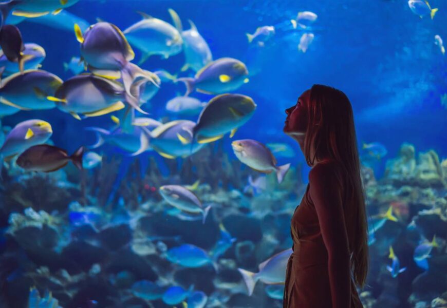 Jeune fille émerveillée devant un aquarium réaliste