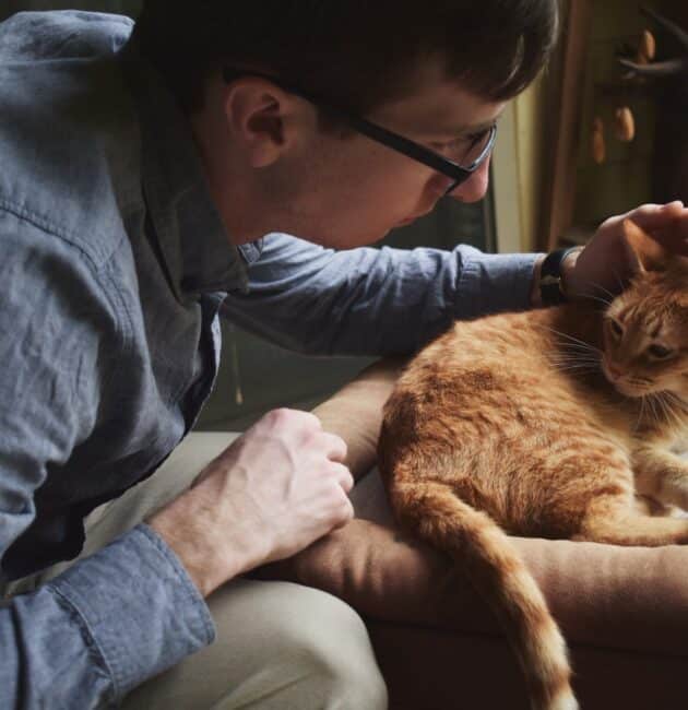 Vétérinaire à domicile regardant un chat