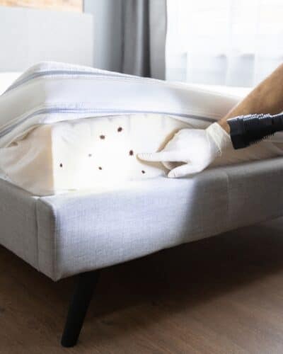 Expert montrant des punaises de lit sur un matelas avant de s'en débarrasser efficacement