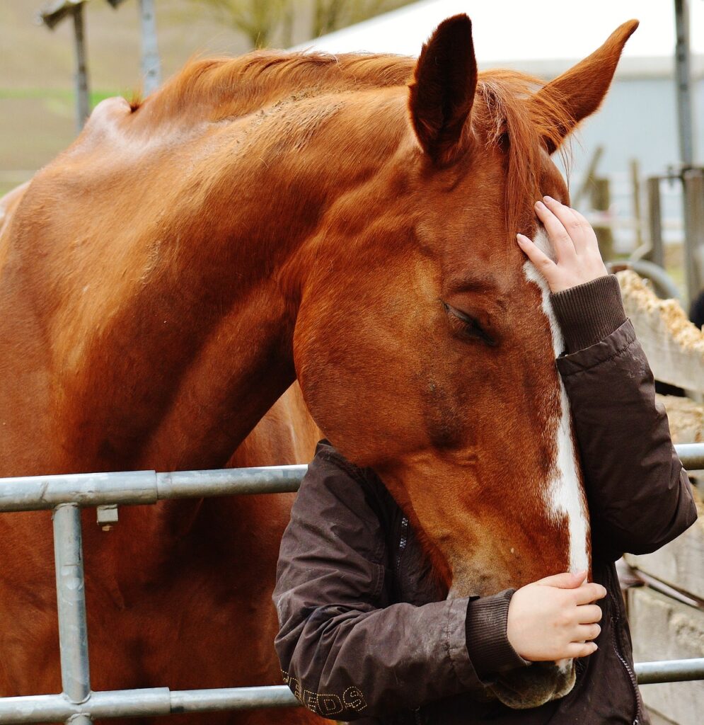 Femme caressant un cheval